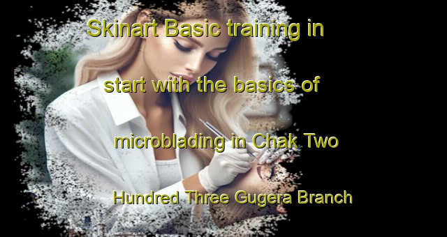 Skinart Basic training in start with the basics of microblading in Chak Two Hundred Three Gugera Branch area | MicrobladingTraining | MicrobladingClasses | SkinartTraining-Pakistan